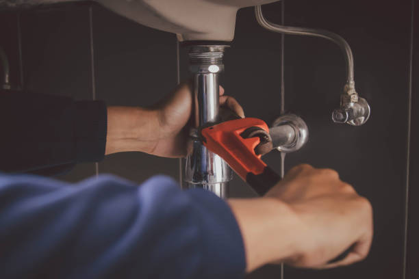 Best Drain Cleaning Services  in Elkton, MD